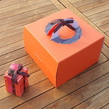 240mm (9½") Orange Cake Box with handle