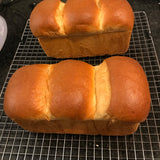 Bread Pan - Long